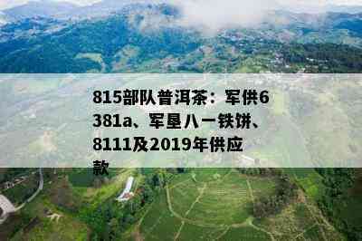 815部队普洱茶：军供6381a、军垦八一铁饼、8111及2019年供应款