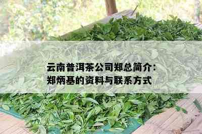 云南普洱茶公司郑总简介：郑炳基的资料与联系方式