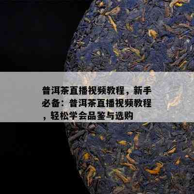 普洱茶直播视频教程，新手必备：普洱茶直播视频教程，轻松学会品鉴与选购