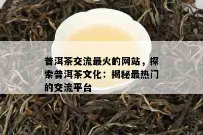 普洱茶交流最火的网站，探索普洱茶文化：揭秘最热门的交流平台