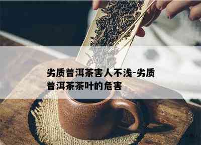 劣质普洱茶害人不浅-劣质普洱茶茶叶的危害