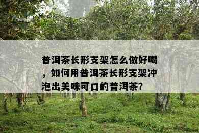 普洱茶长形支架怎么做好喝，如何用普洱茶长形支架冲泡出美味可口的普洱茶？