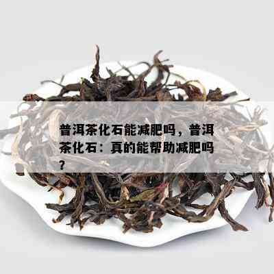 普洱茶化石能减肥吗，普洱茶化石：真的能帮助减肥吗？