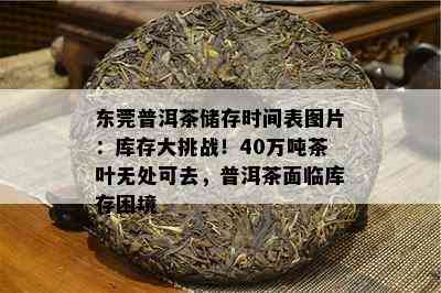 东莞普洱茶储存时间表图片：库存大挑战！40万吨茶叶无处可去，普洱茶面临库存困境