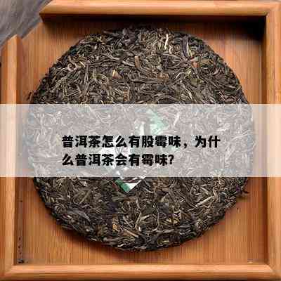 普洱茶怎么有股霉味，为什么普洱茶会有霉味？