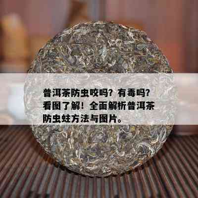 普洱茶防虫咬吗？有吗？看图了解！全面解析普洱茶防虫蛀方法与图片。