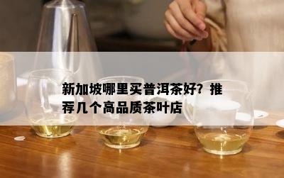 新加坡哪里买普洱茶好？推荐几个高品质茶叶店