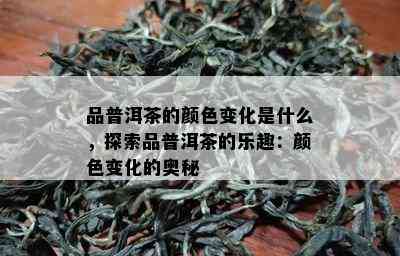 品普洱茶的颜色变化是什么，探索品普洱茶的乐趣：颜色变化的奥秘