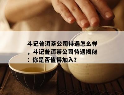 斗记普洱茶公司待遇怎么样，斗记普洱茶公司待遇揭秘：你是否值得加入？