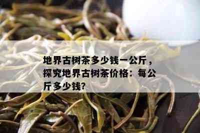 地界古树茶多少钱一公斤，探究地界古树茶价格：每公斤多少钱？