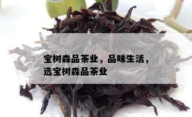 宝树森品茶业，品味生活，选宝树森品茶业