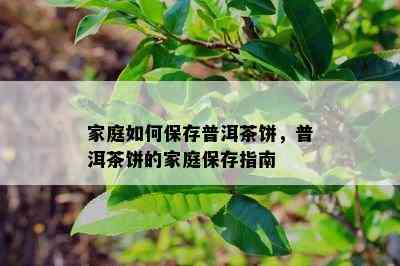 家庭如何保存普洱茶饼，普洱茶饼的家庭保存指南