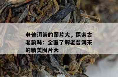 老普洱茶的图片大，探索古老韵味：全面了解老普洱茶的精美图片大