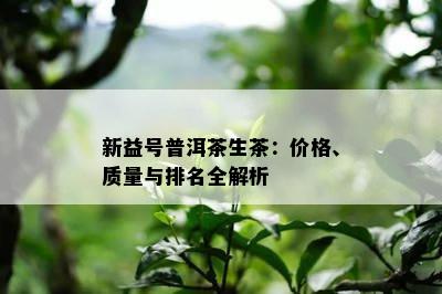 新益号普洱茶生茶：价格、质量与排名全解析