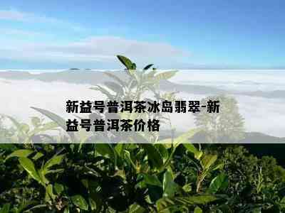 新益号普洱茶冰岛翡翠-新益号普洱茶价格