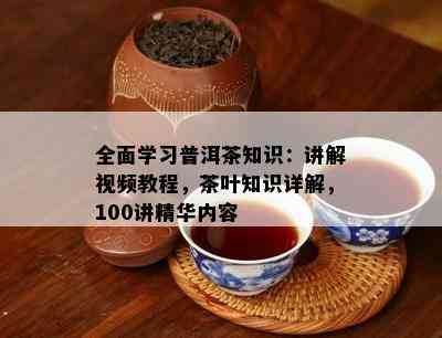 全面学习普洱茶知识：讲解视频教程，茶叶知识详解，100讲精华内容