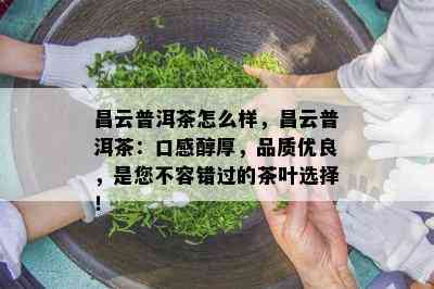 昌云普洱茶怎么样，昌云普洱茶：口感醇厚，品质优良，是您不容错过的茶叶选择！