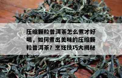 压缩颗粒普洱茶怎么煮才好喝，如何煮出美味的压缩颗粒普洱茶？烹饪技巧大揭秘！