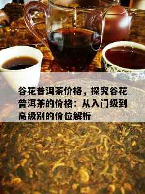 谷花普洱茶价格，探究谷花普洱茶的价格：从入门级到高级别的价位解析