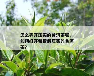 怎么弄开压实的普洱茶呢，如何打开和拆解压实的普洱茶？