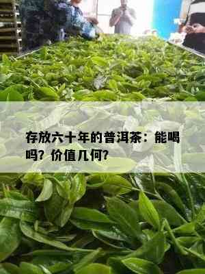 存放六十年的普洱茶：能喝吗？价值几何？