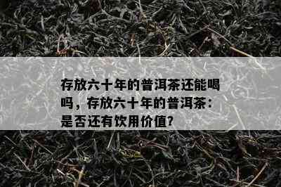 存放六十年的普洱茶还能喝吗，存放六十年的普洱茶：是否还有饮用价值？