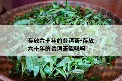 存放六十年的普洱茶-存放六十年的普洱茶能喝吗