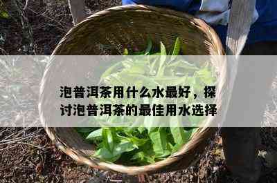 泡普洱茶用什么水更好，探讨泡普洱茶的更佳用水选择