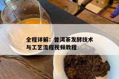 全程详解：普洱茶发酵技术与工艺流程视频教程