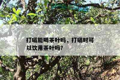 打嗝能喝茶叶吗，打嗝时可以饮用茶叶吗？