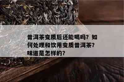 普洱茶变质后还能喝吗？如何处理和饮用变质普洱茶？味道是怎样的？