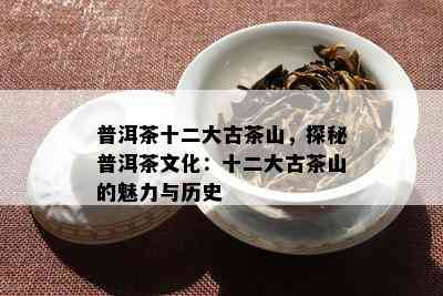 普洱茶十二大古茶山，探秘普洱茶文化：十二大古茶山的魅力与历史