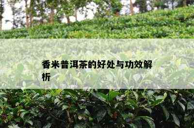 香米普洱茶的好处与功效解析