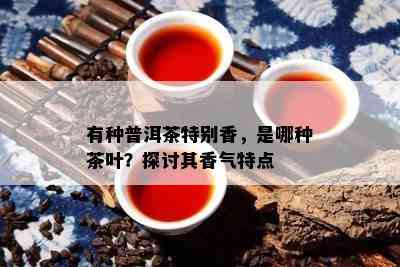 有种普洱茶特别香，是哪种茶叶？探讨其香气特点