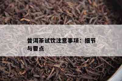 普洱茶试饮注意事项：细节与要点