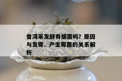 普洱茶发酵有细菌吗？原因与发霉、产生霉菌的关系解析