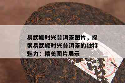 易武顺时兴普洱茶图片，探索易武顺时兴普洱茶的独特魅力：精美图片展示