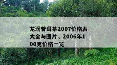 龙润普洱茶2007价格表大全与图片，2006年100克价格一览