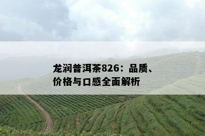 龙润普洱茶826：品质、价格与口感全面解析