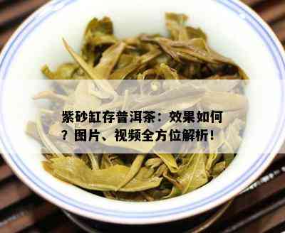 紫砂缸存普洱茶：效果如何？图片、视频全方位解析！