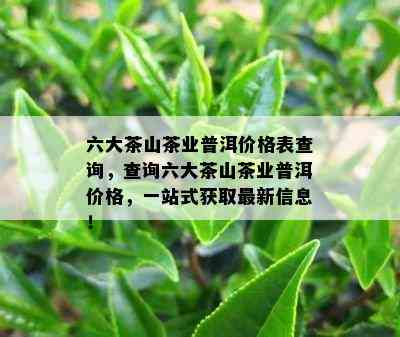 六大茶山茶业普洱价格表查询，查询六大茶山茶业普洱价格，一站式获取最新信息！