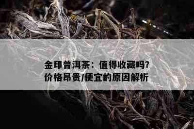 金印普洱茶：值得收藏吗？价格昂贵/便宜的原因解析