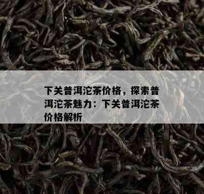 下关普洱沱茶价格，探索普洱沱茶魅力：下关普洱沱茶价格解析