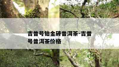 吉普号铂金砖普洱茶-吉普号普洱茶价格