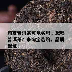 淘宝普洱茶可以买吗，想喝普洱茶？来淘宝选购，品质保证！