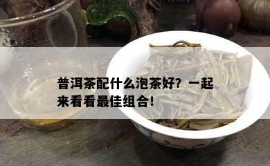 普洱茶配什么泡茶好？一起来看看更佳组合！