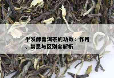 半发酵普洱茶的功效：作用、禁忌与区别全解析