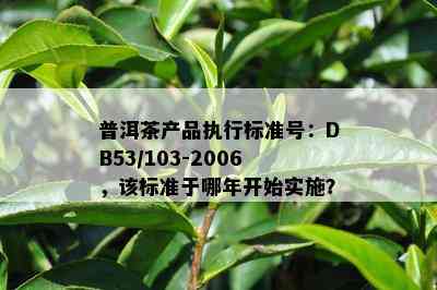 普洱茶产品执行标准号：DB53/103-2006，该标准于哪年开始实施？