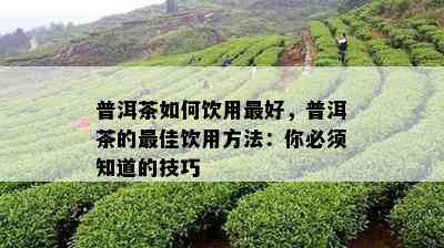 普洱茶如何饮用更好，普洱茶的更佳饮用方法：你必须知道的技巧