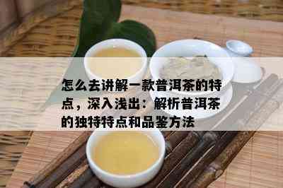 怎么去讲解一款普洱茶的特点，深入浅出：解析普洱茶的独特特点和品鉴方法